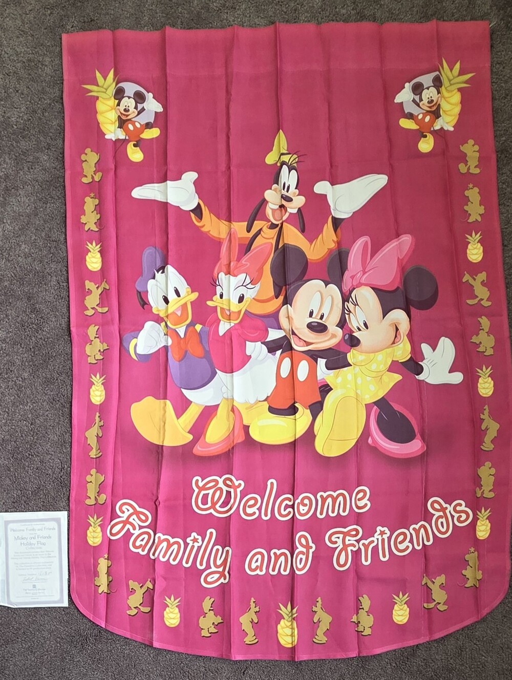 Disney Flags